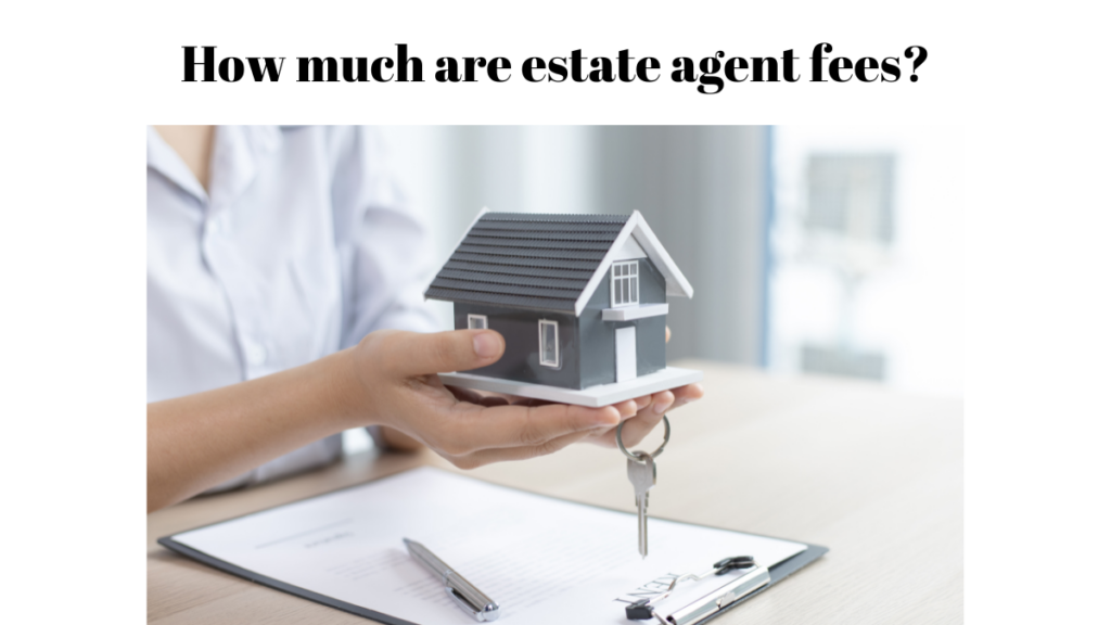 how-much-are-estate-agent-fees