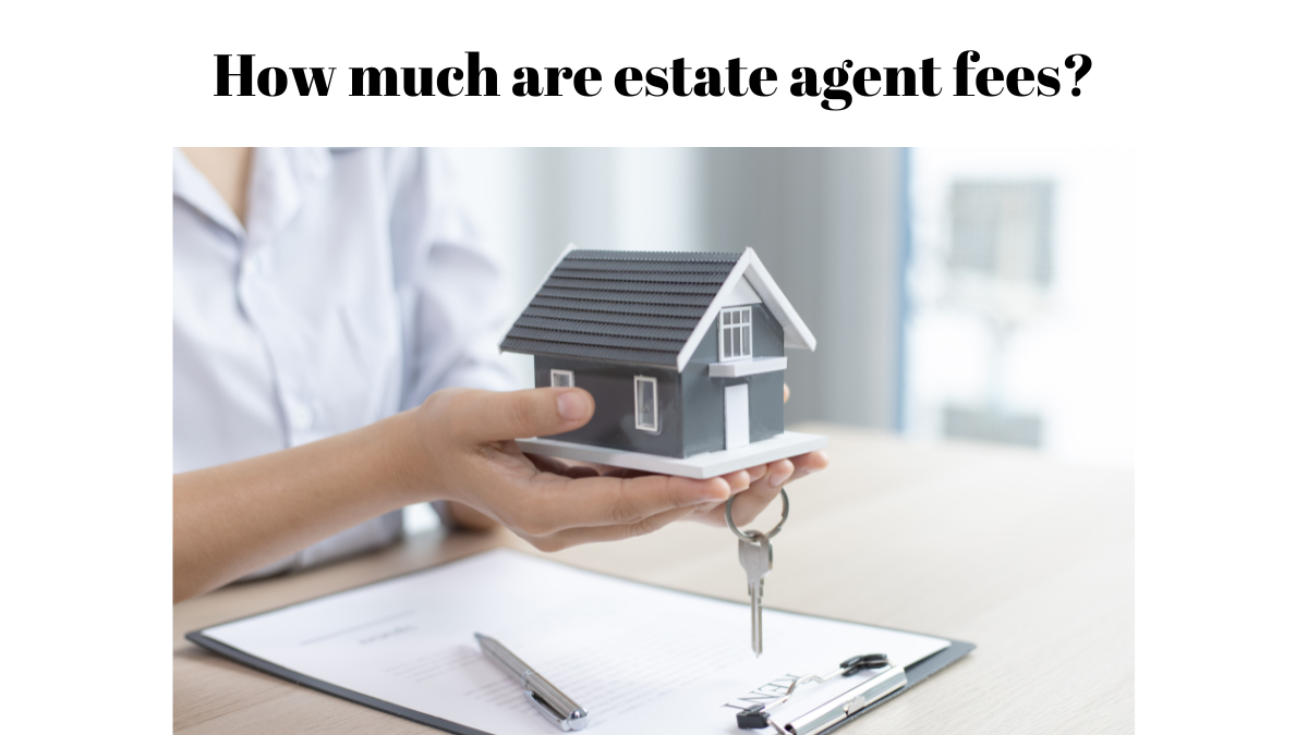 estate agent fees