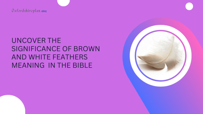 Uncover the Significance of Brown and White Feathers meaning in the Bible