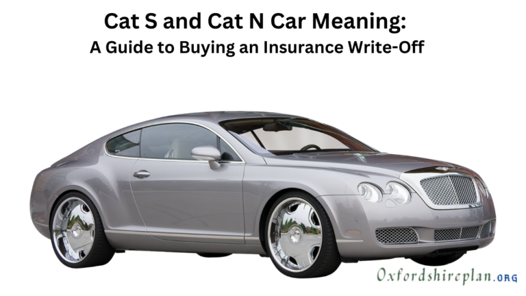 cat n car meaning