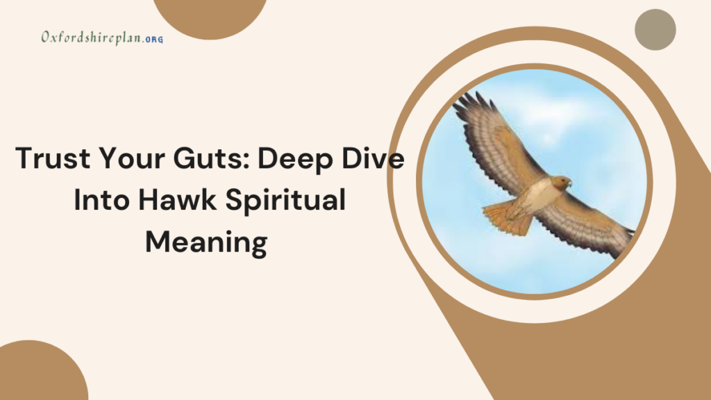 hawk spiritual meaning