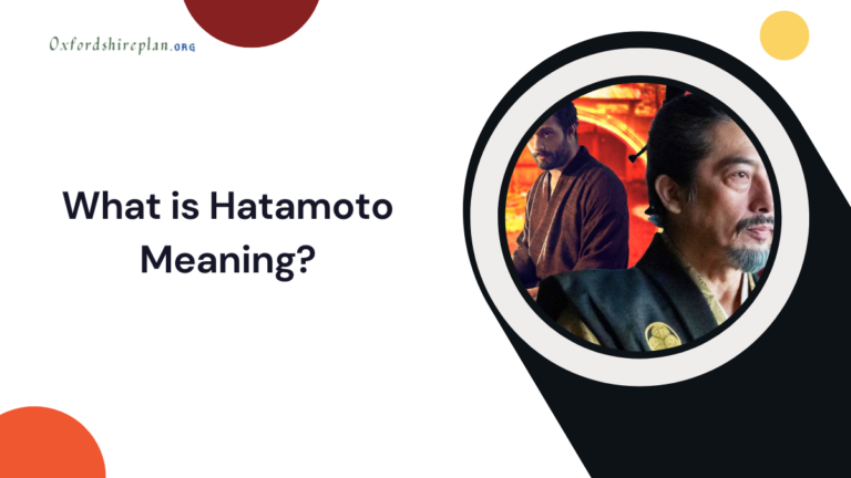 Hatamoto Meaning