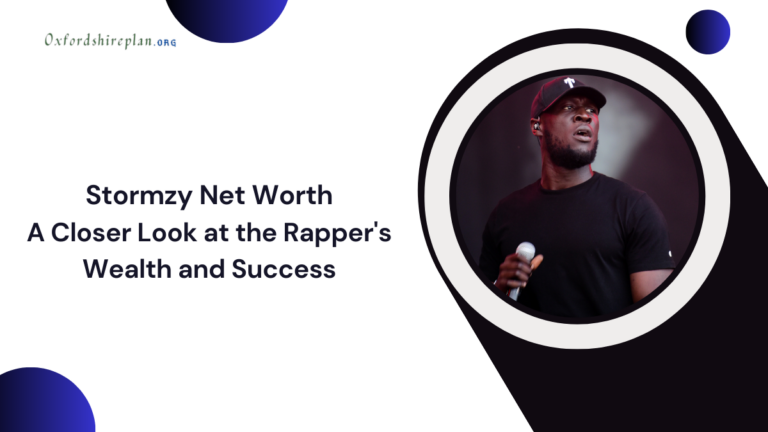 stormzy net worth