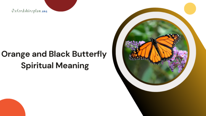 Orange and Black Butterfly Spiritual Meaning