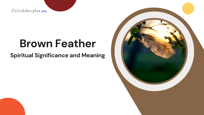 Brown feather Meaning