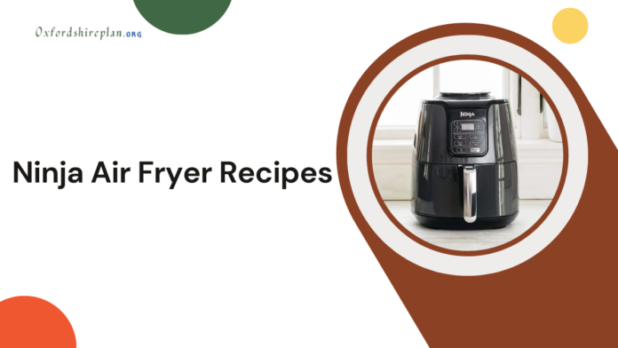 Ninja air fryer recipes